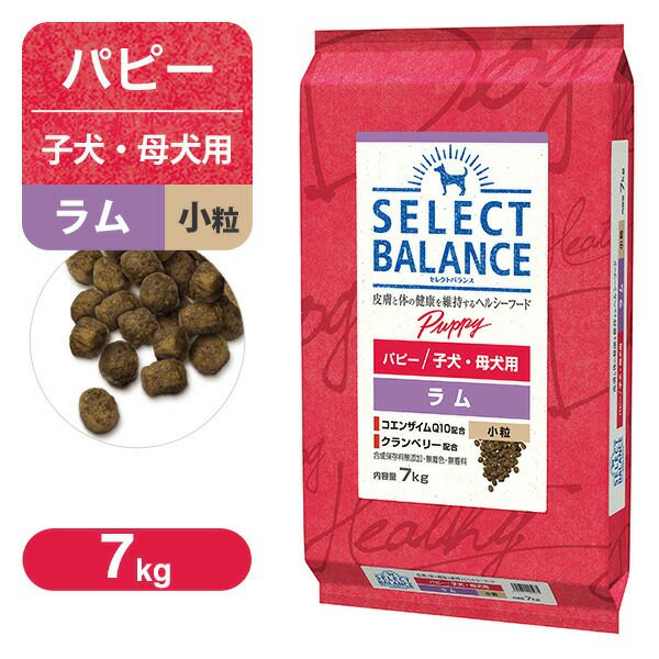 PointUP】セレクトバランス パピー（子犬用） ラム 小粒 7kg