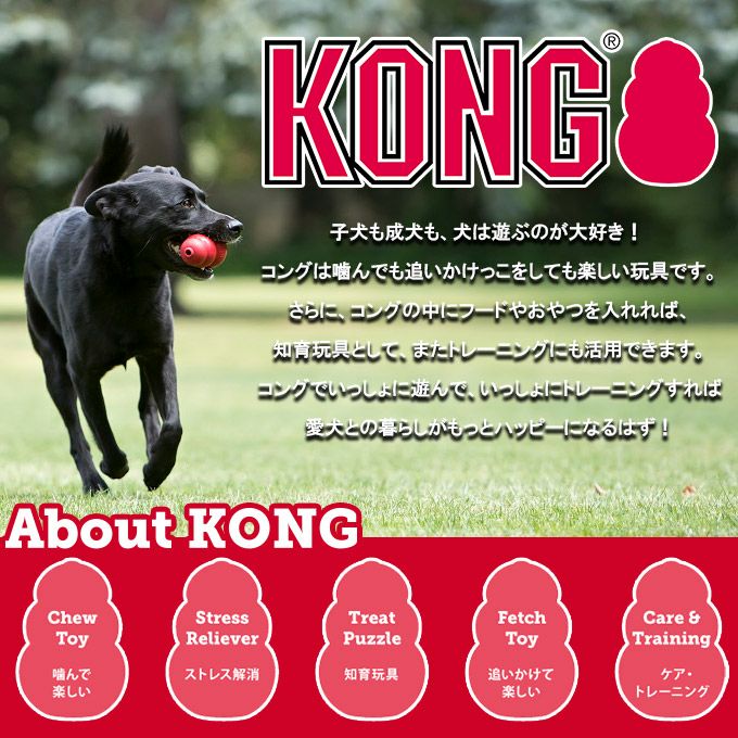 希少　KONG コング知育玩具　犬用おもちゃ 5個セット 希少 KONG コング知育玩具 犬用おもちゃ 5個セット