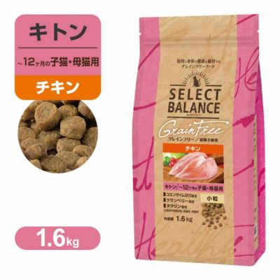 ♯Kti17IT 猫ごはん フルコンプ 全6種 Amazon | 我慢する猫 ［全6種セット(フルコンプ)］ | カプセル
